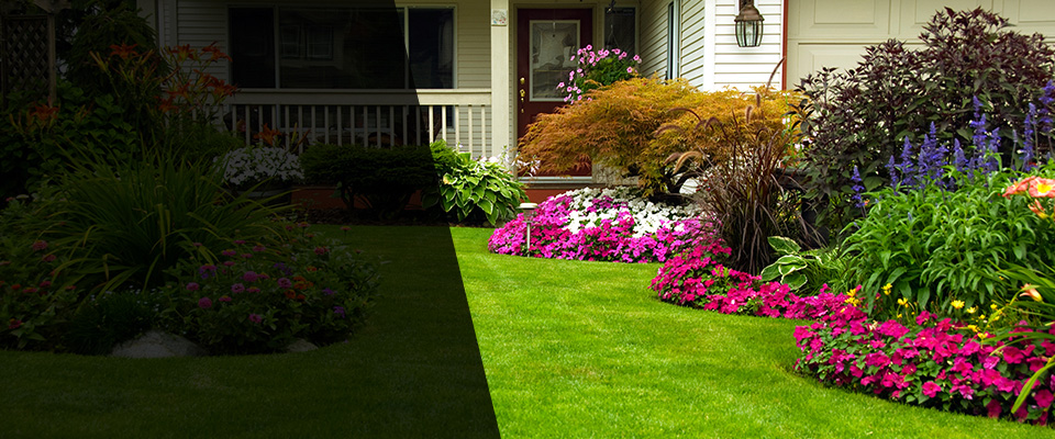 Litchfield Landscapers